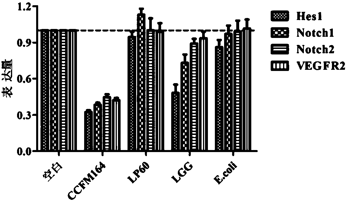 Lactobacillus plantarum with colorectal cancer inhibition function and application of Lactobacillus plantarum