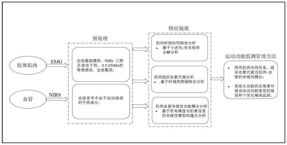 Motion function monitoring management method based on myoelectricity and muscle oxygen signals