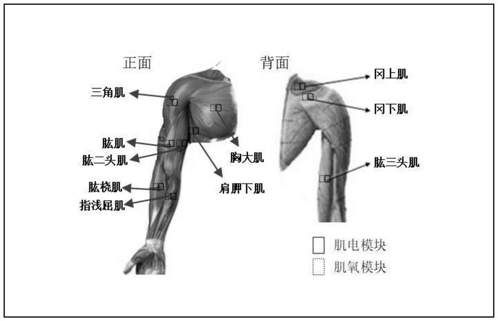 Motion function monitoring management method based on myoelectricity and muscle oxygen signals