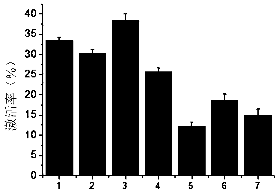 Sobering-up liver-protecting extract, sobering-up liver-protecting composition, and preparation method and application of composition