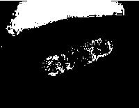 Marine surfactant-producing bacterial strain LHOD-1 and application thereof