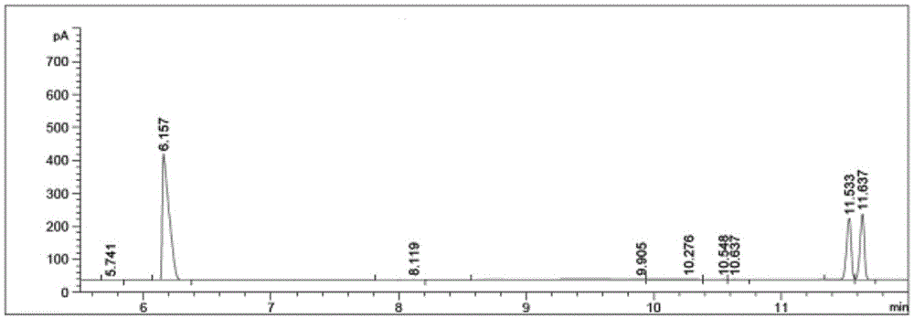 Marine bacterial strain and method for preparing chiral amine from catalyzing of amine dehydrogenase of marine bacterial strain