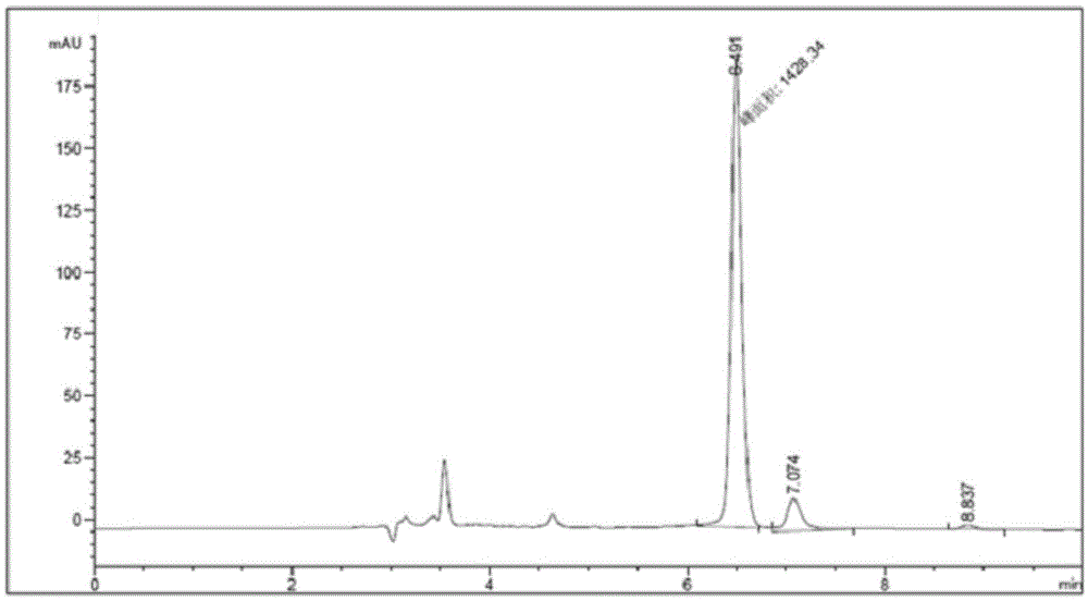 Marine bacterial strain and method for preparing chiral amine from catalyzing of amine dehydrogenase of marine bacterial strain