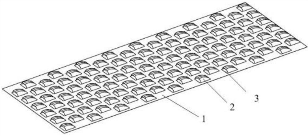 An imitation shark scale fisheye sieve