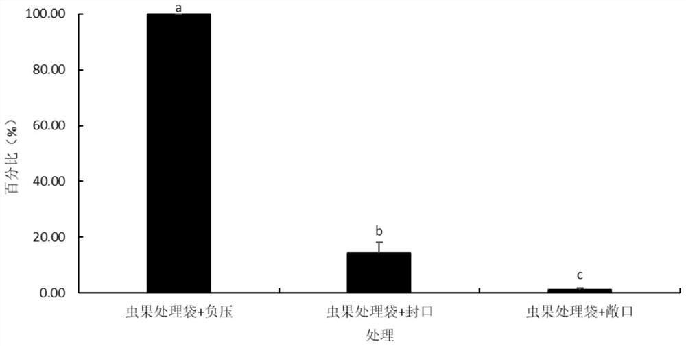 Negative-pressure harmless method for rapidly and efficiently treating fruits damaged by boring pests