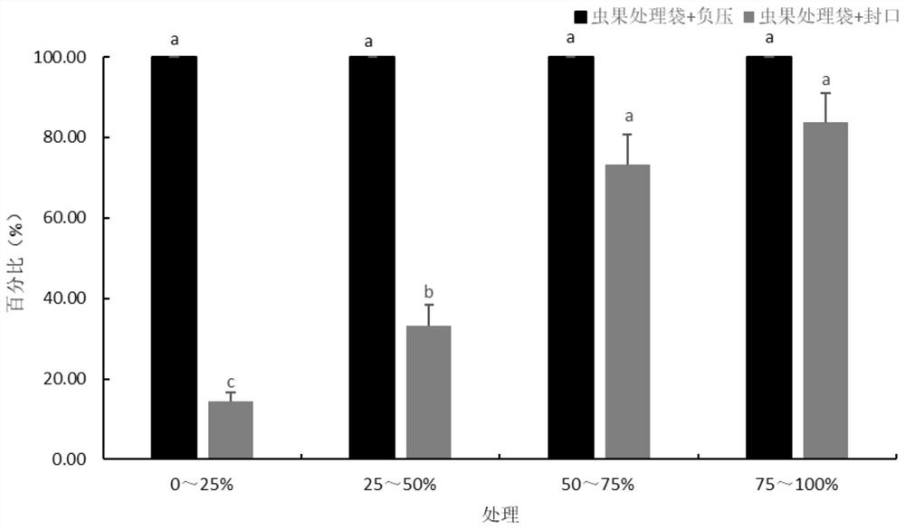 Negative-pressure harmless method for rapidly and efficiently treating fruits damaged by boring pests