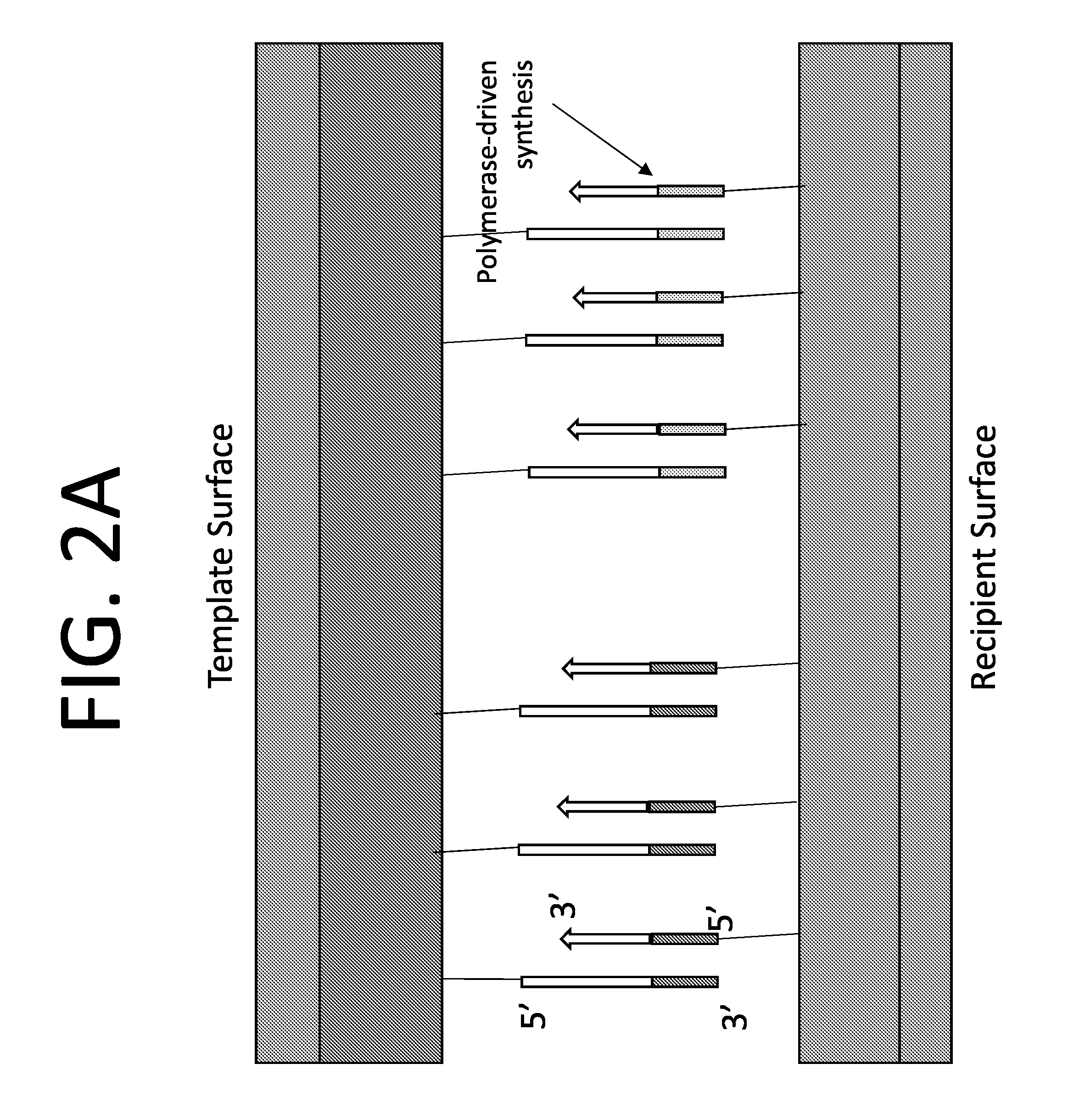 Fabrication of patterned arrays