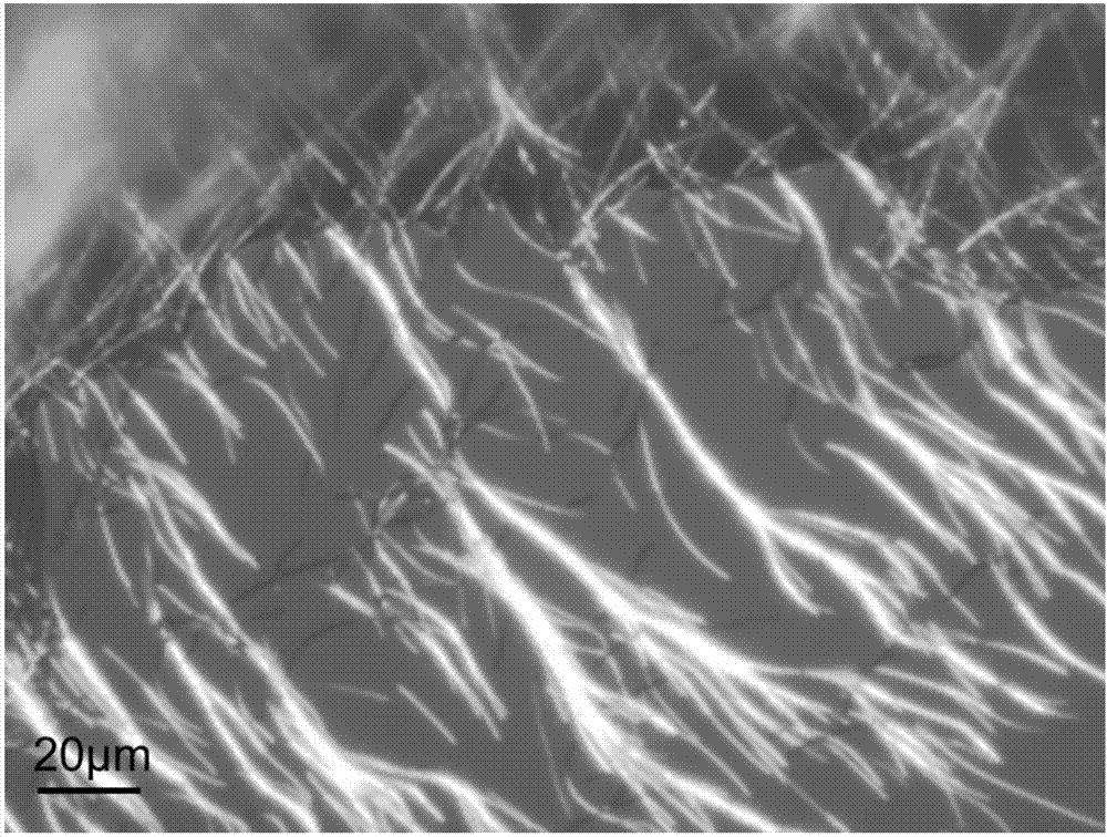 Preparation method for micron silver wires