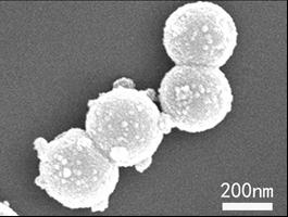 Hollow composite microspheres for positive electrode materials of lithium-sulfur batteries and preparation method thereof