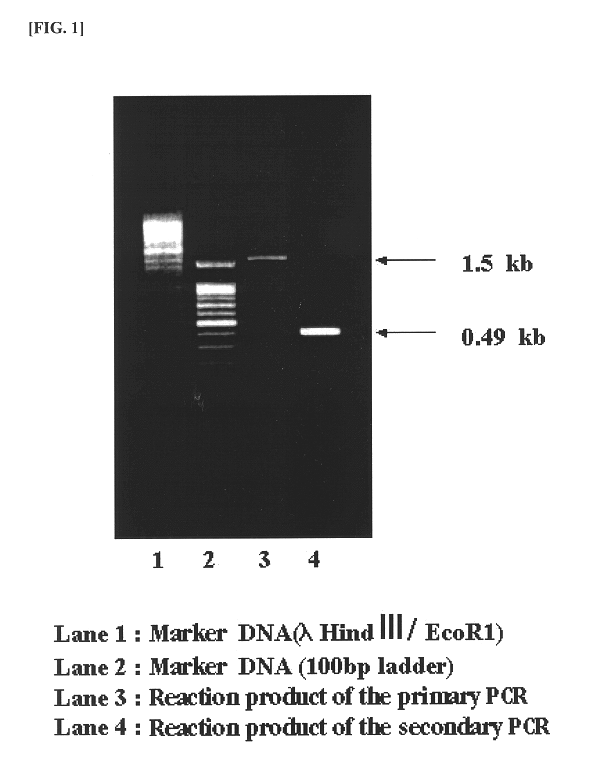 Functional aquarium water and a preparation method thereof