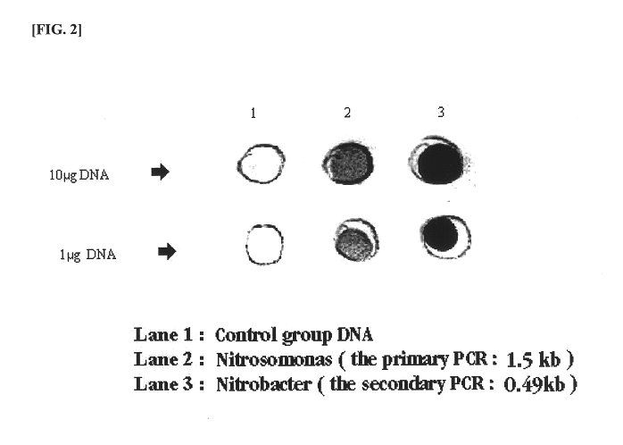 Functional aquarium water and a preparation method thereof