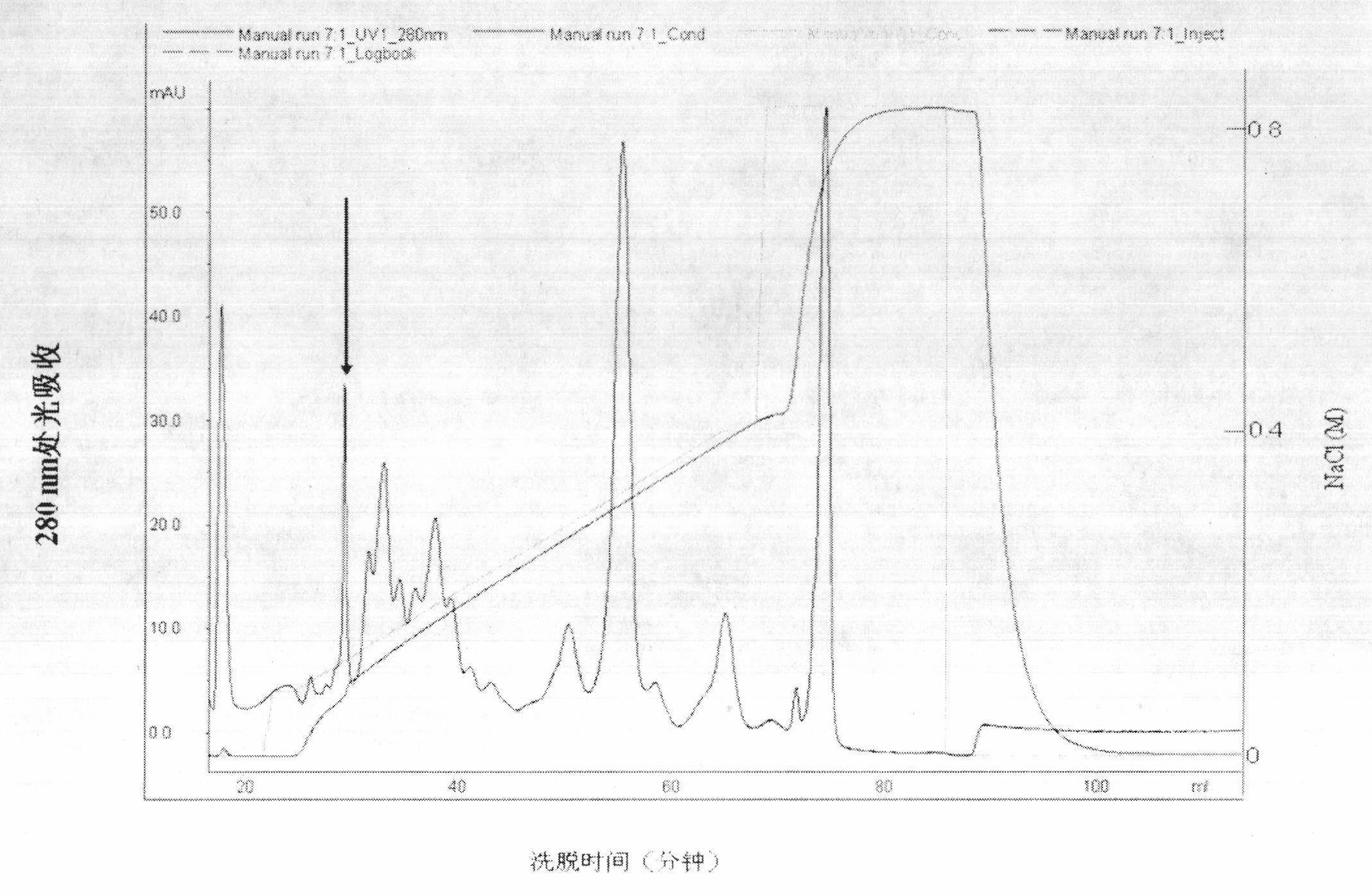 Tabanusyao Macquart antithrombotic enzyme tablysin and gene and application thereof