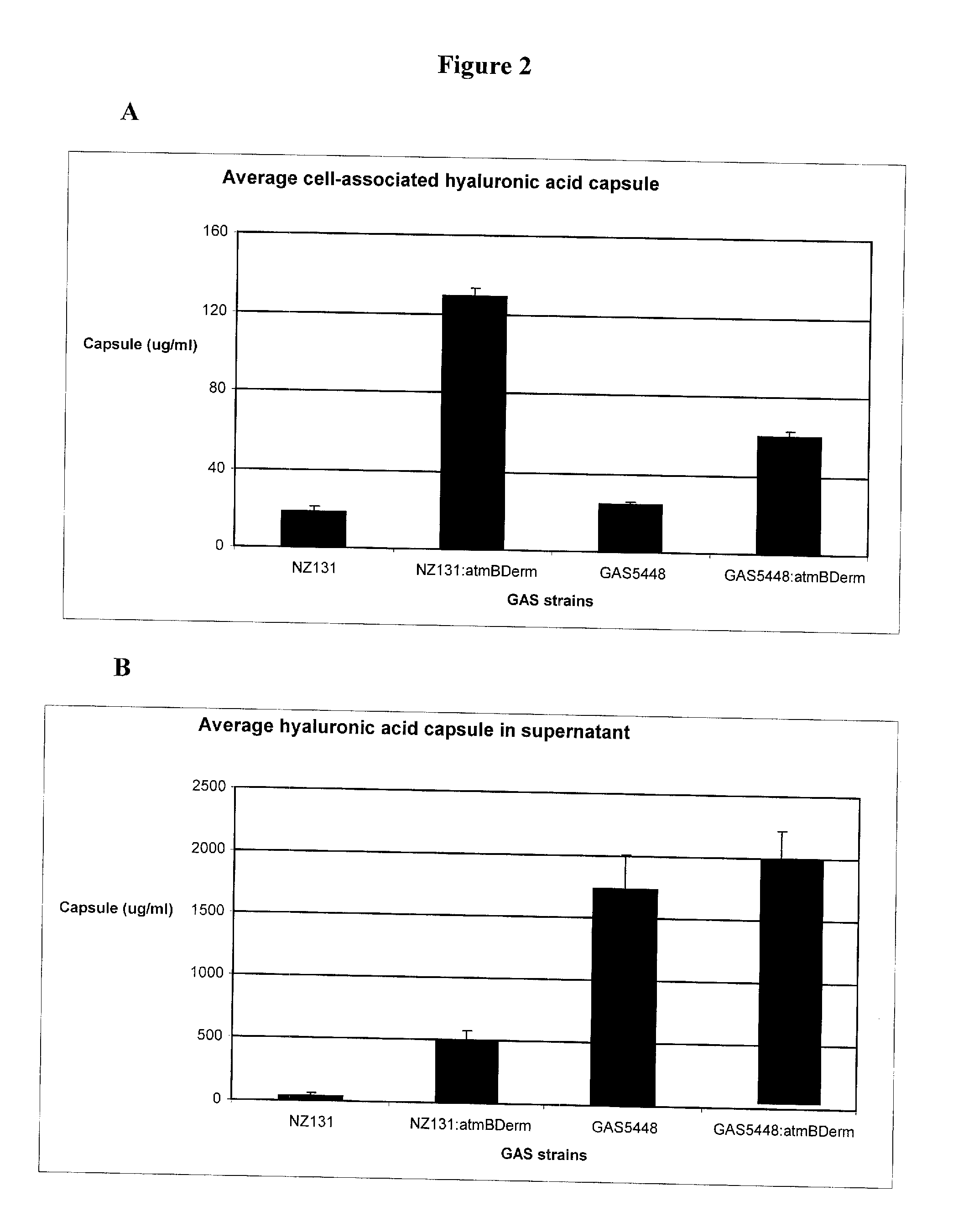 Compositions and methods for treatment of group a streptococci