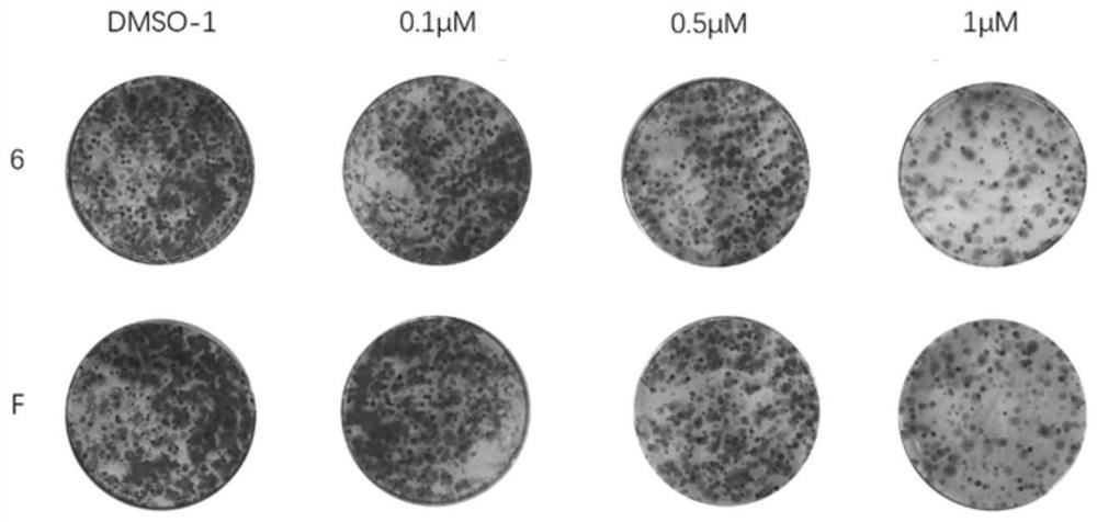 Fenbendazole analogue as well as preparation method and application thereof