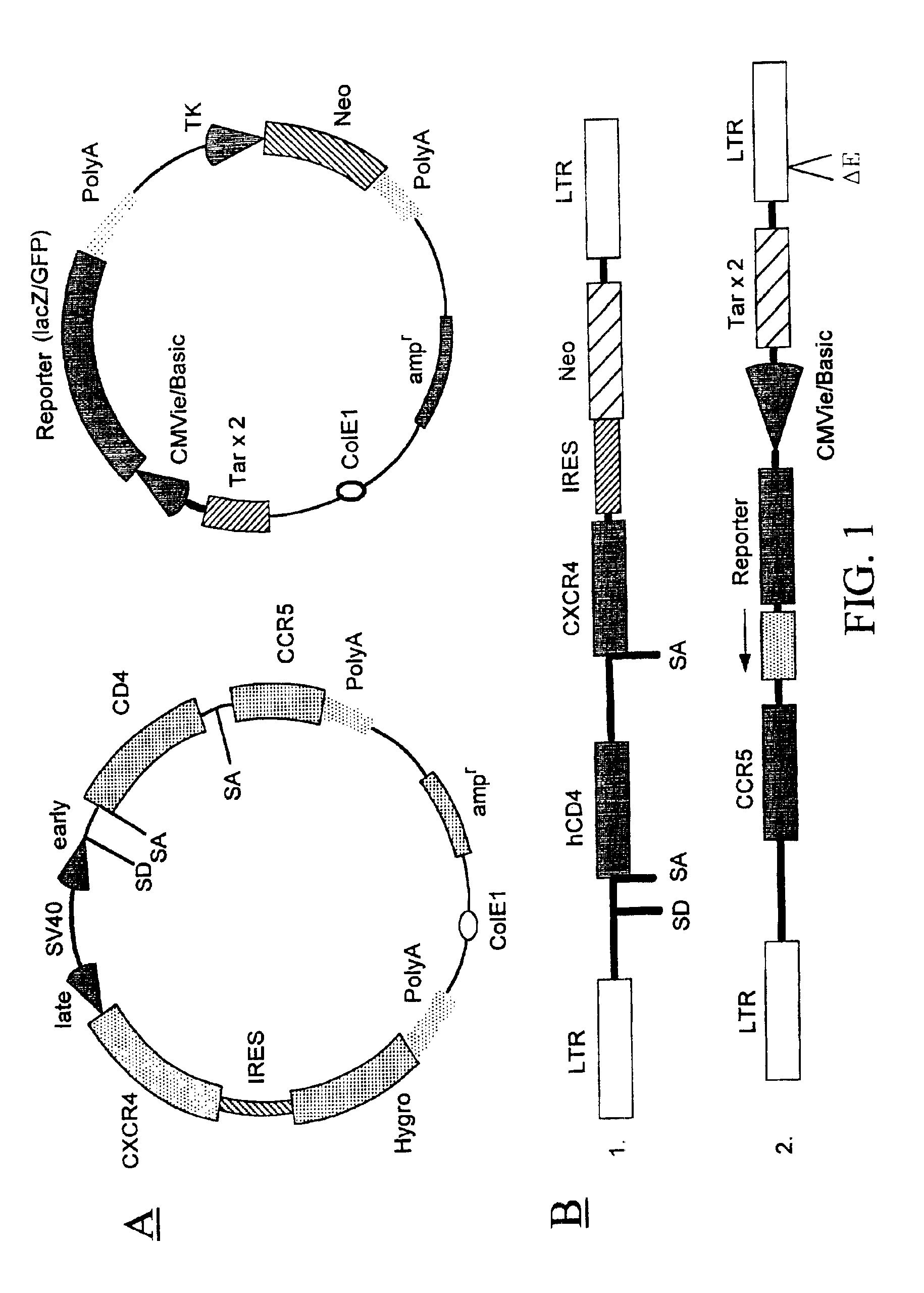 Methods of monitoring HIV drug resistance