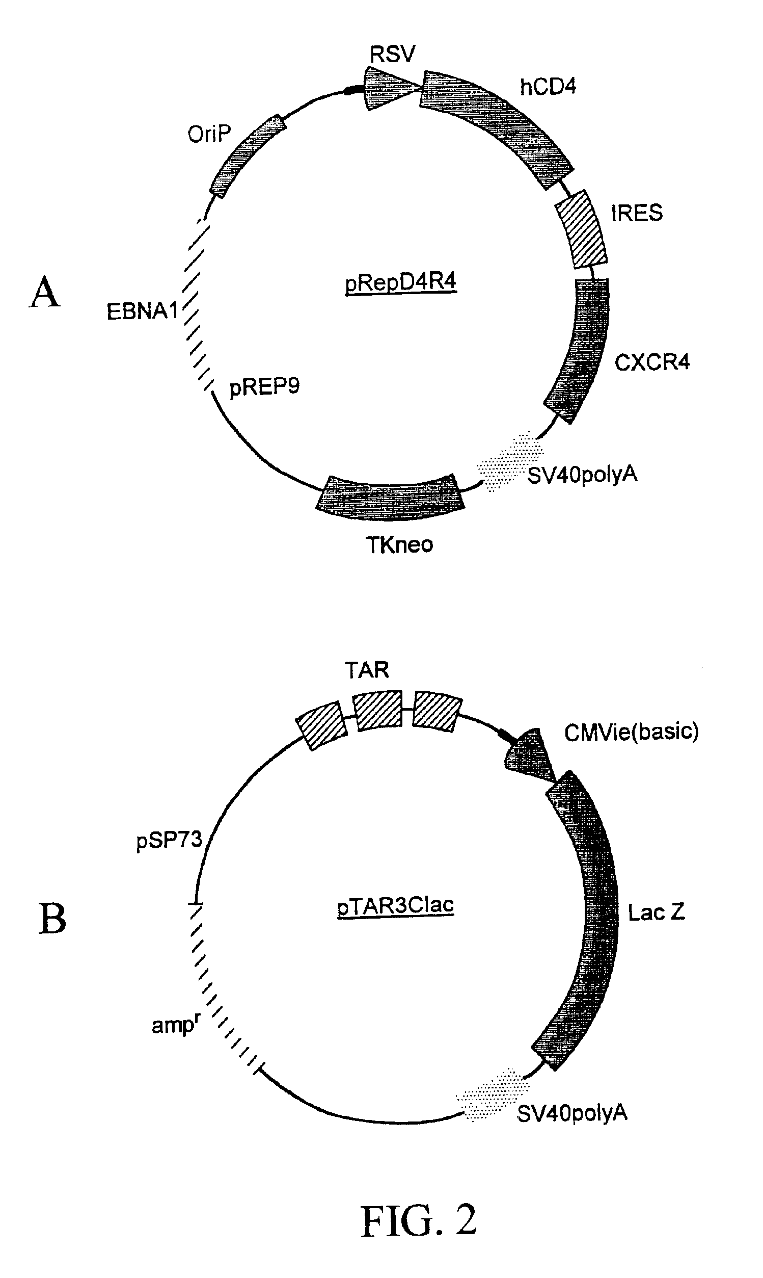 Methods of monitoring HIV drug resistance