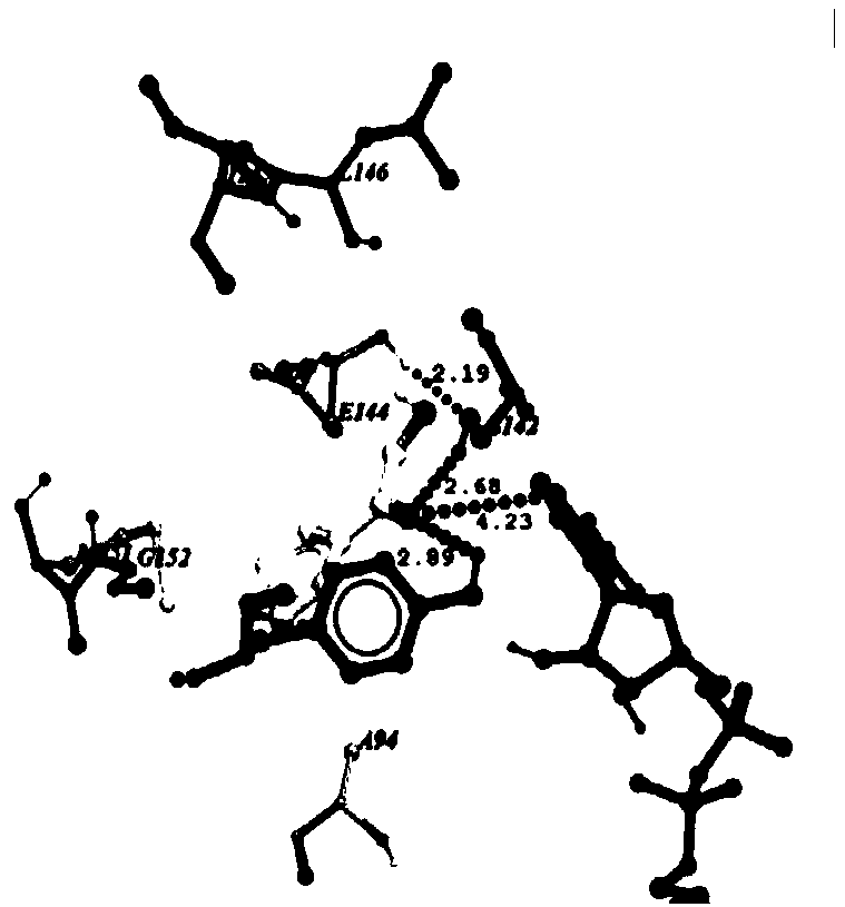 Carbonyl reductase mutant mut-AcCR(l147V/G152L) and application and coding genes thereof