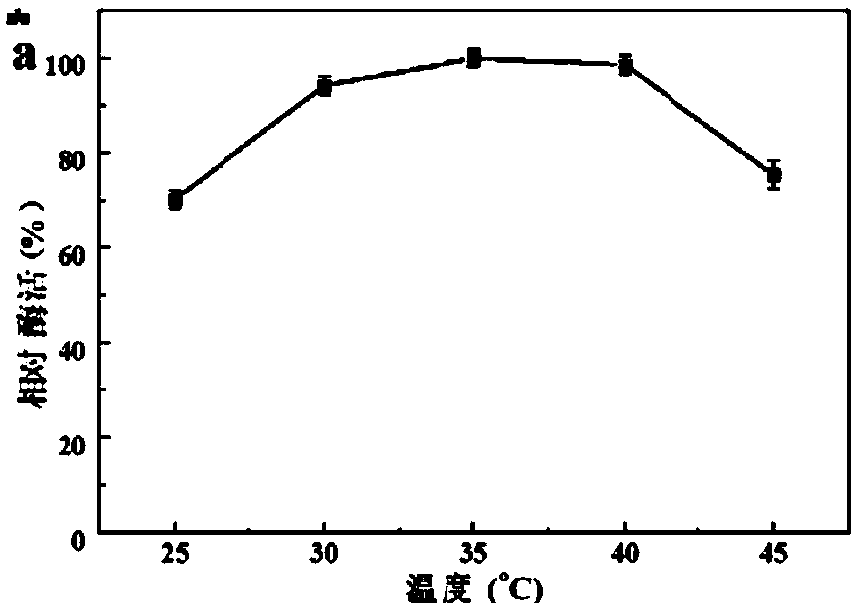 Carbonyl reductase mutant mut-AcCR(l147V/G152L) and application and coding genes thereof