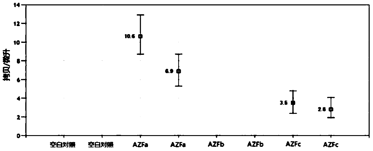 Primer group, kit and detection method based on digital PCR for Y chromosome microdeletion detection