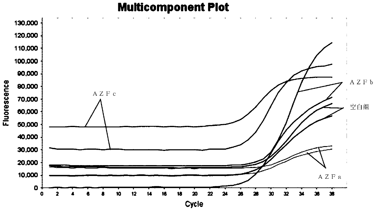 Primer group, kit and detection method based on digital PCR for Y chromosome microdeletion detection