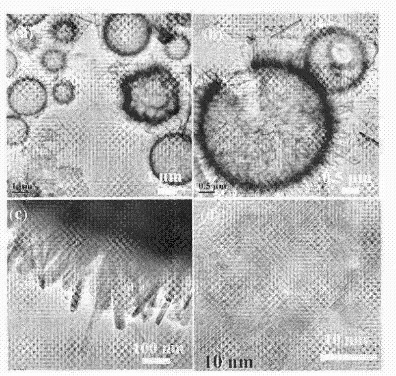 Hydroxyapatite with hollow sphere structure and preparation method thereof