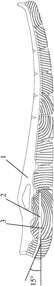 Shoes and cushioning supporting system thereof