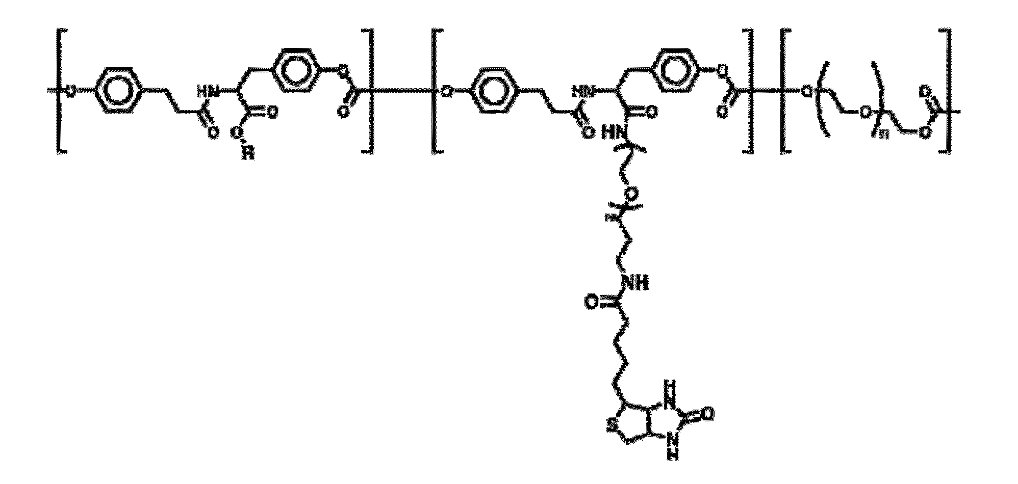 Molecular Surface Design of Tyrosine-Derived Polycarbonates for Attachment of Biomolecules