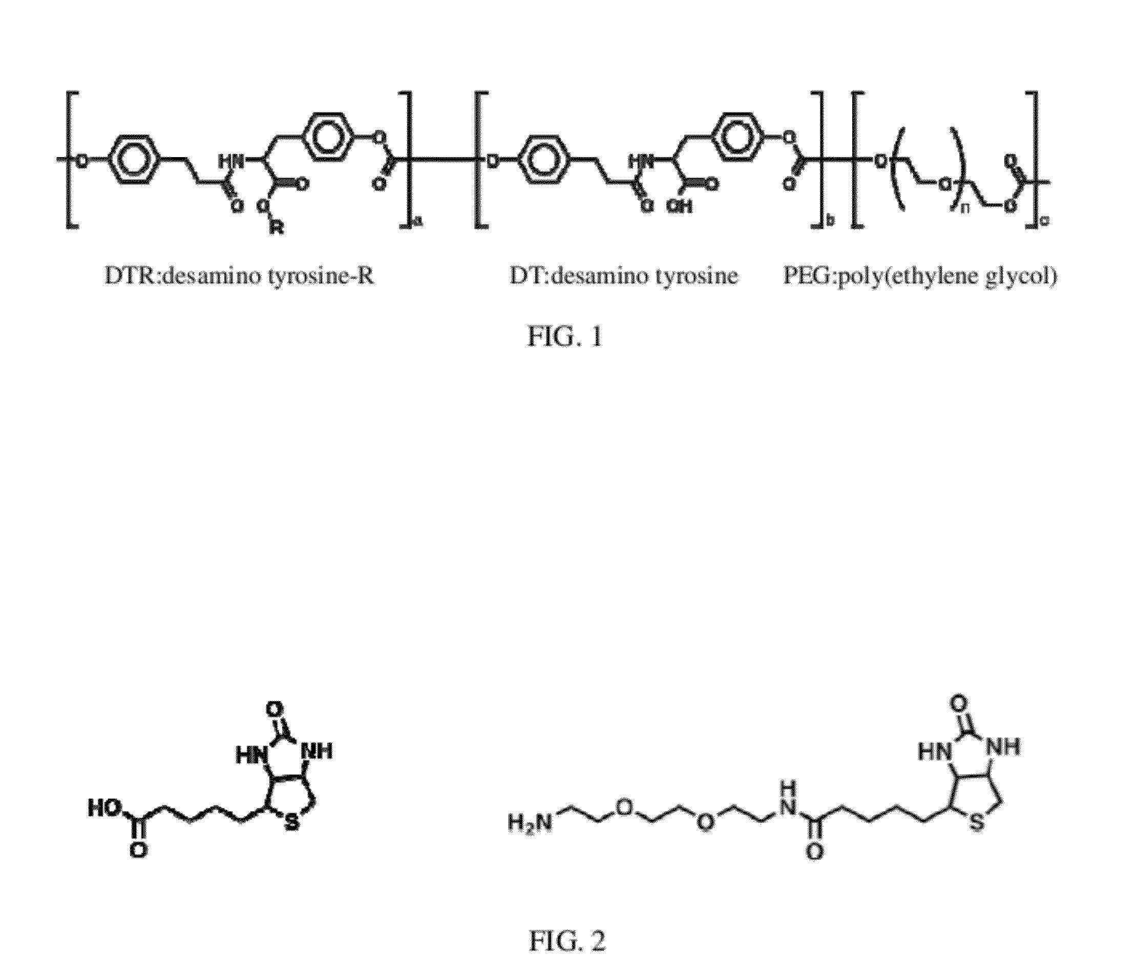 Molecular Surface Design of Tyrosine-Derived Polycarbonates for Attachment of Biomolecules