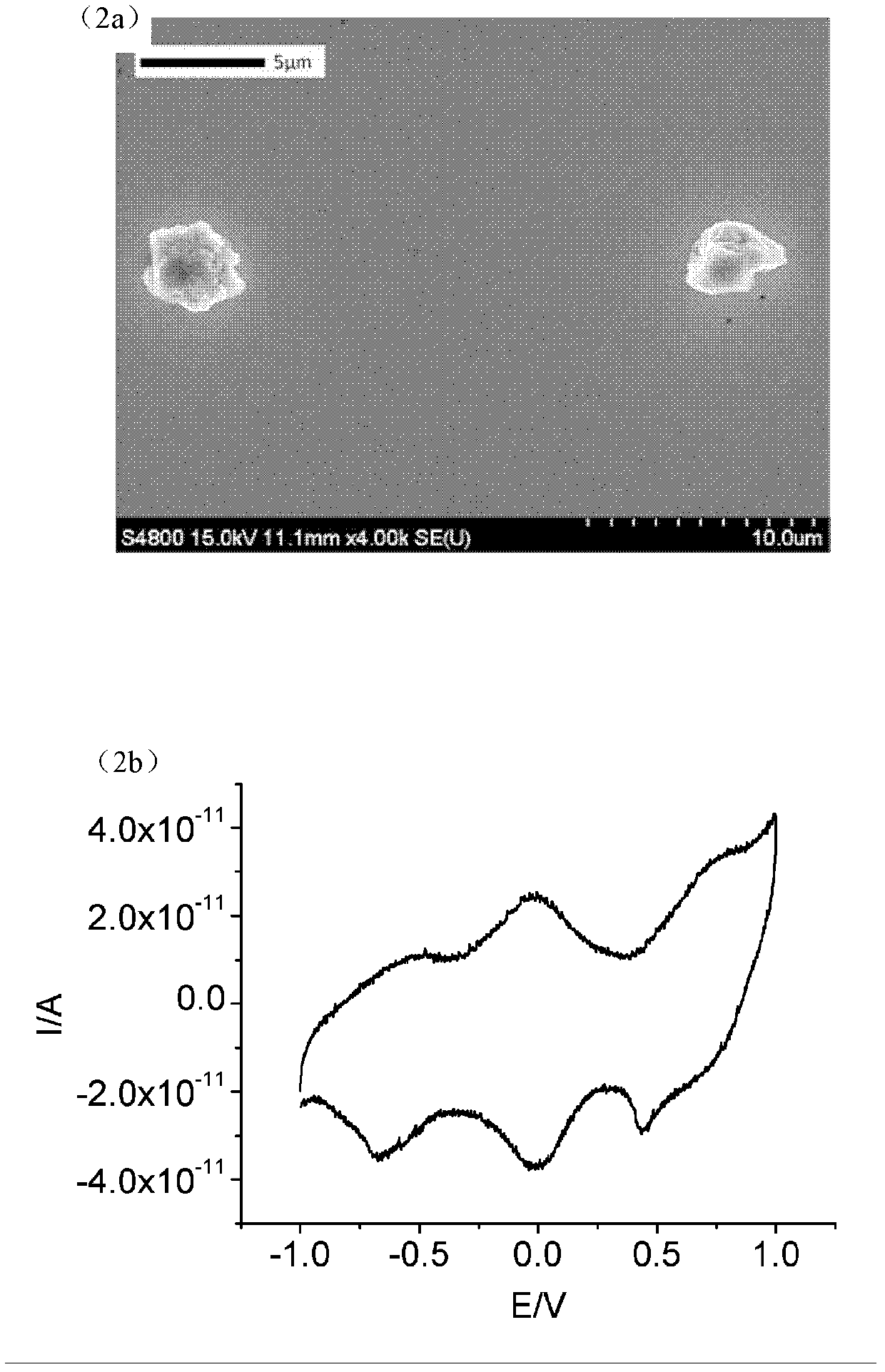 Micro-nano machining method based on electrochemical micro-nano system for functional material and device thereof