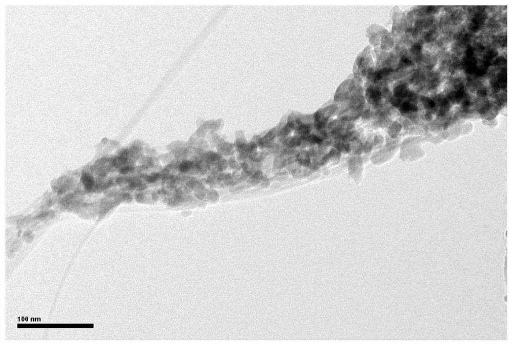 Preparation method of carbon nanotube film, functionalized carbon nanotube film and application of functionalized carbon nanotube film in electrocatalytic hydrogen production