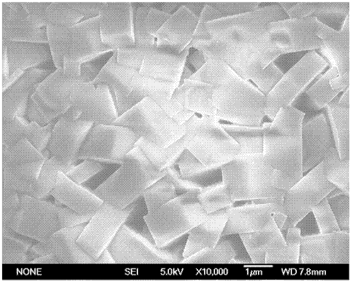 Inorganic phase separation membrane and application of thereof to oil-water separation