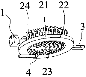 Immersed type heating device