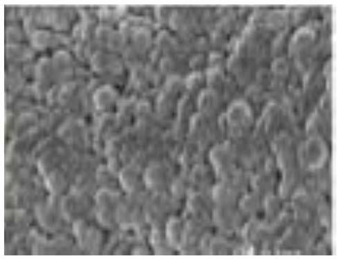 Variable iridescent liquid crystal photonic crystal material and preparation method thereof