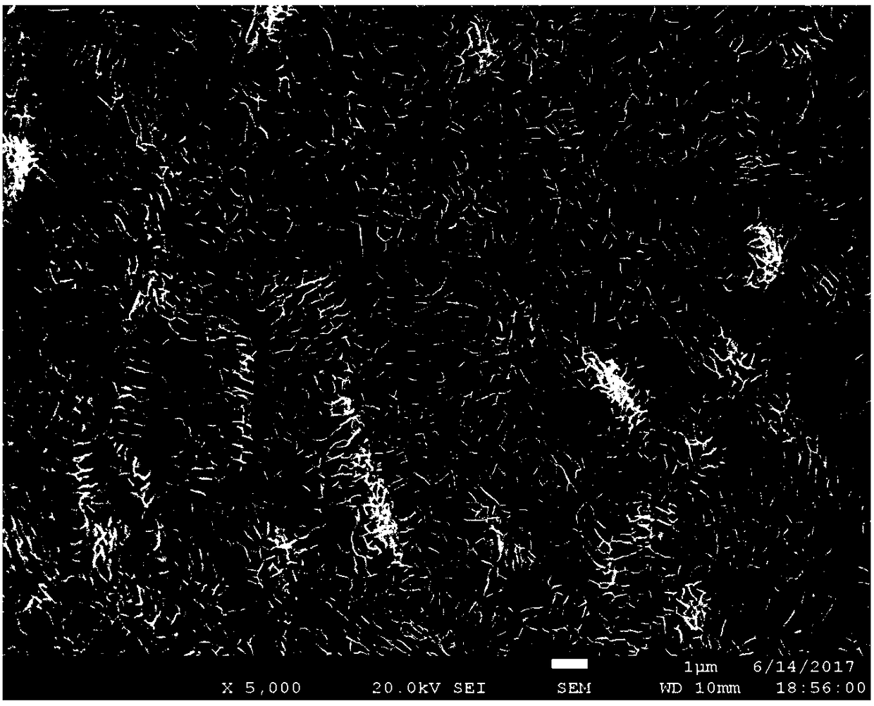 Apparatus and method for repairing polluted soil and underwater by cooperation of in-situ electricity and electrochemistry