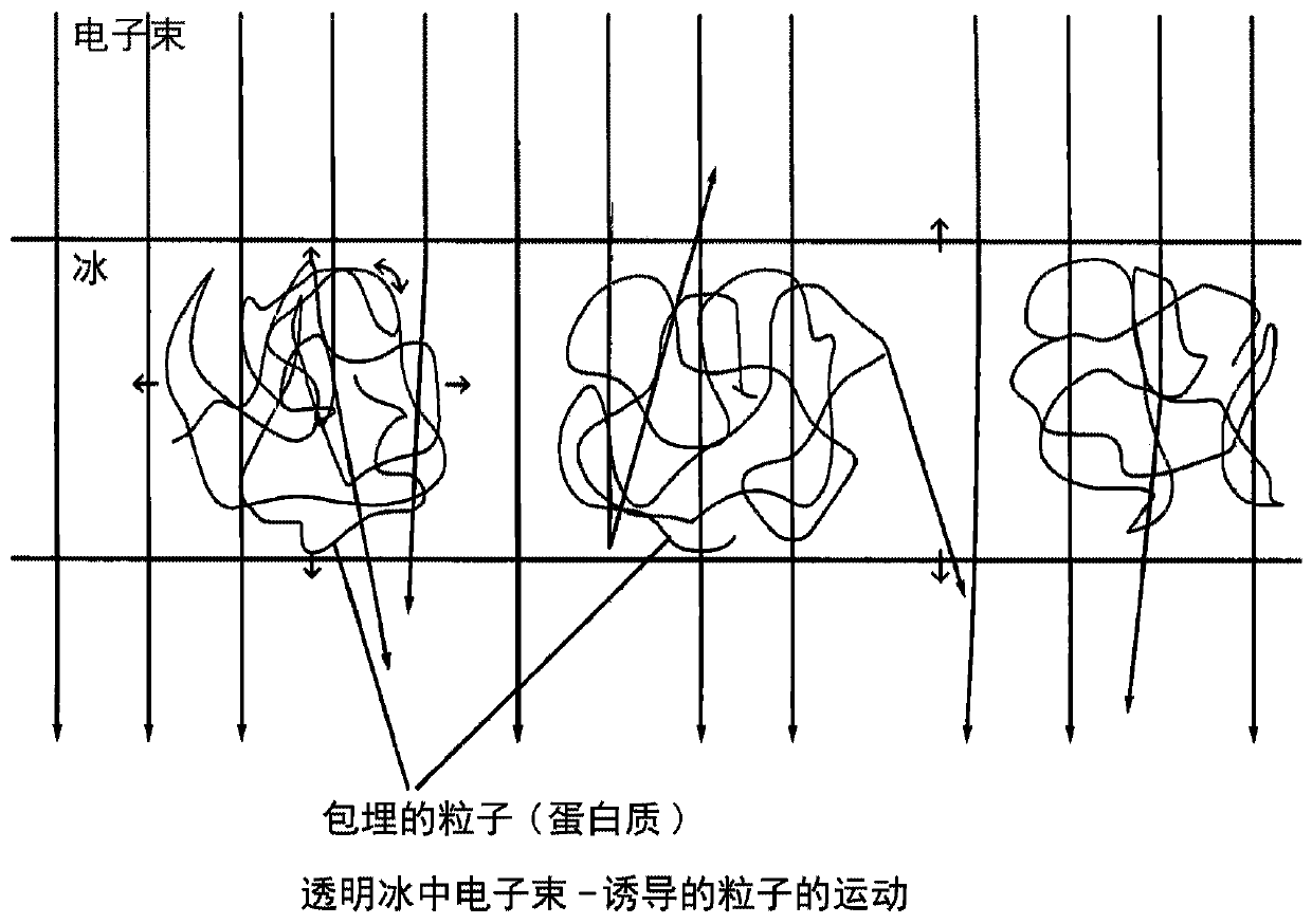 Electron microscopy sample support including porous metal foil