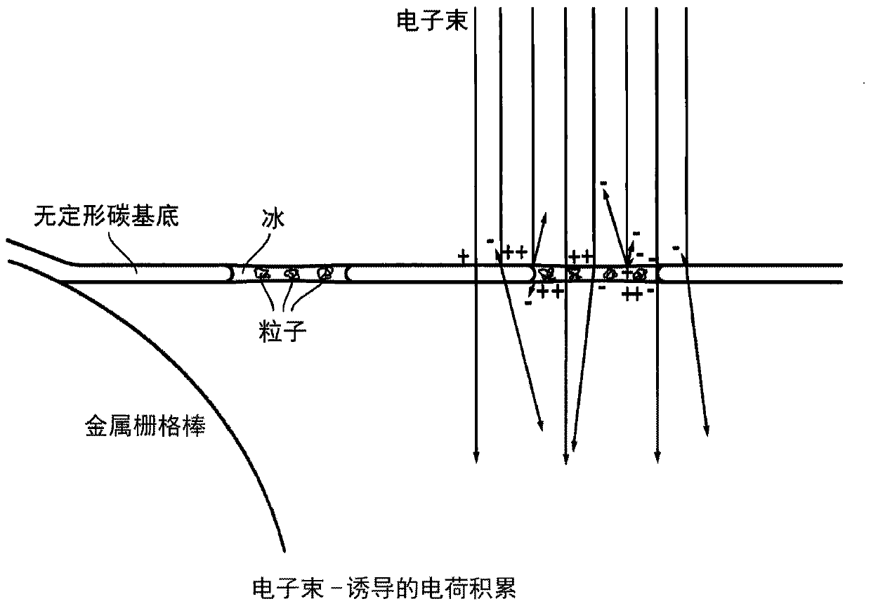 Electron microscopy sample support including porous metal foil