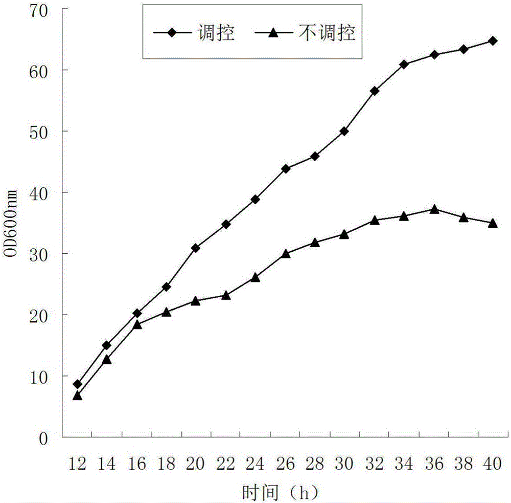 Highly-active Pichia pastoris powder and preparation method thereof