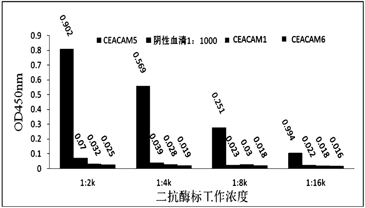 Single domain antibody for resisting CEACAM-5 and application of single domain antibody