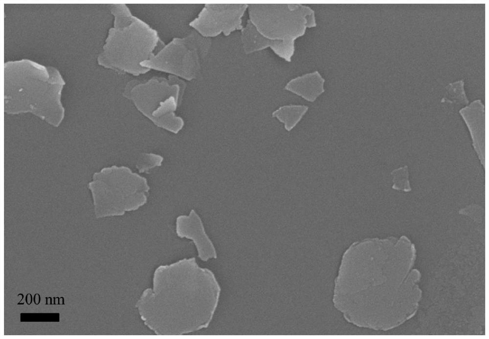 a cofe  <sub>2</sub> o  <sub>4</sub> Preparation method and application of nanosheet oxygen evolution catalyst