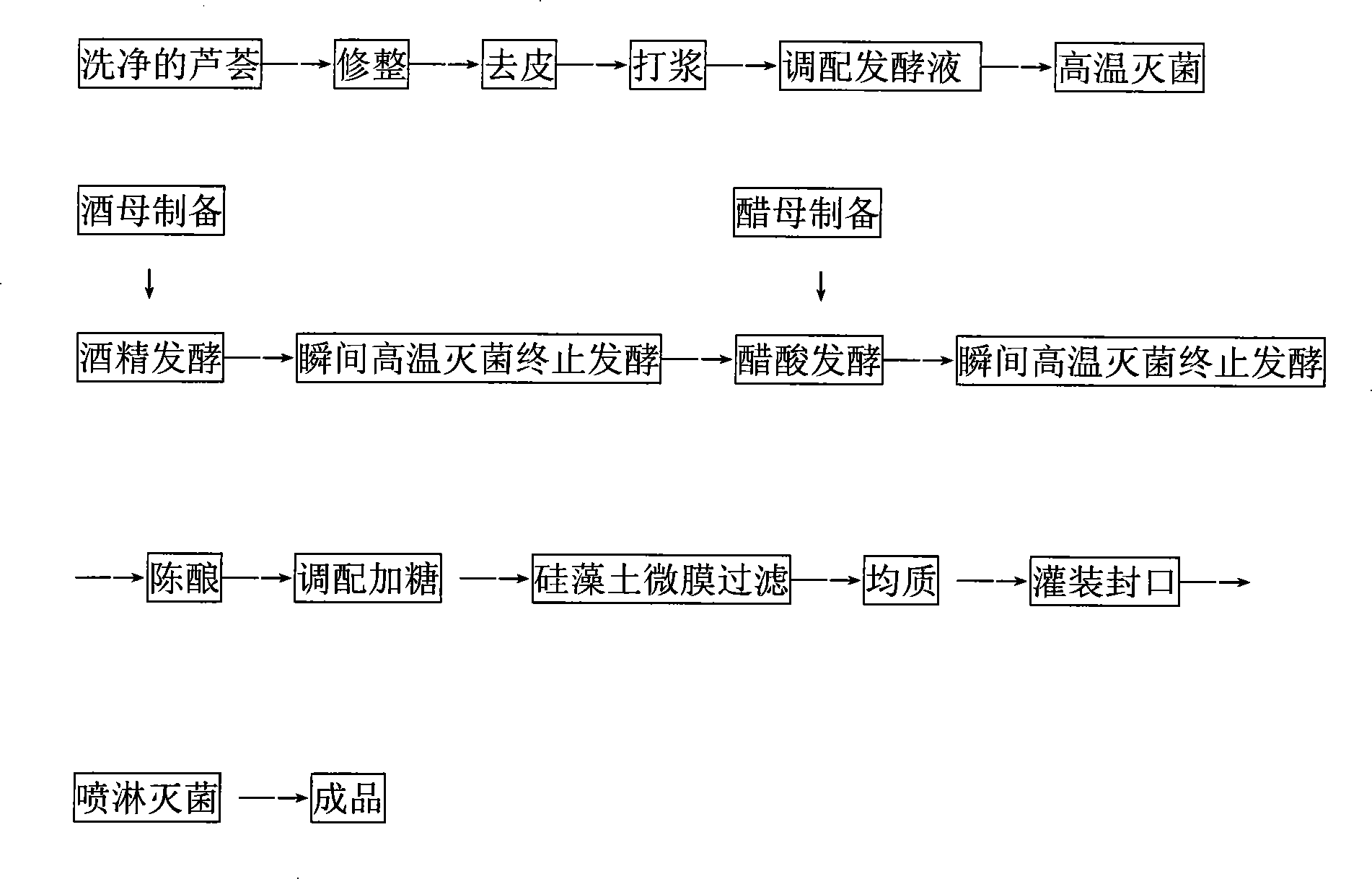 Aloe fruit wine and method for preparing same