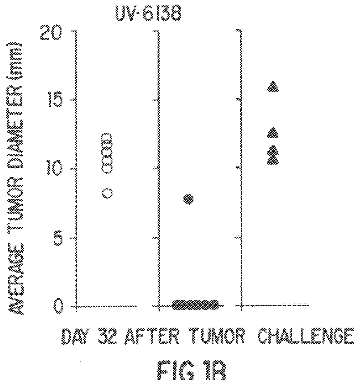 Compositions and methods using complexes of heat shock protein gp96 and antigenic molecules for the treatment and prevention of infectious diseases