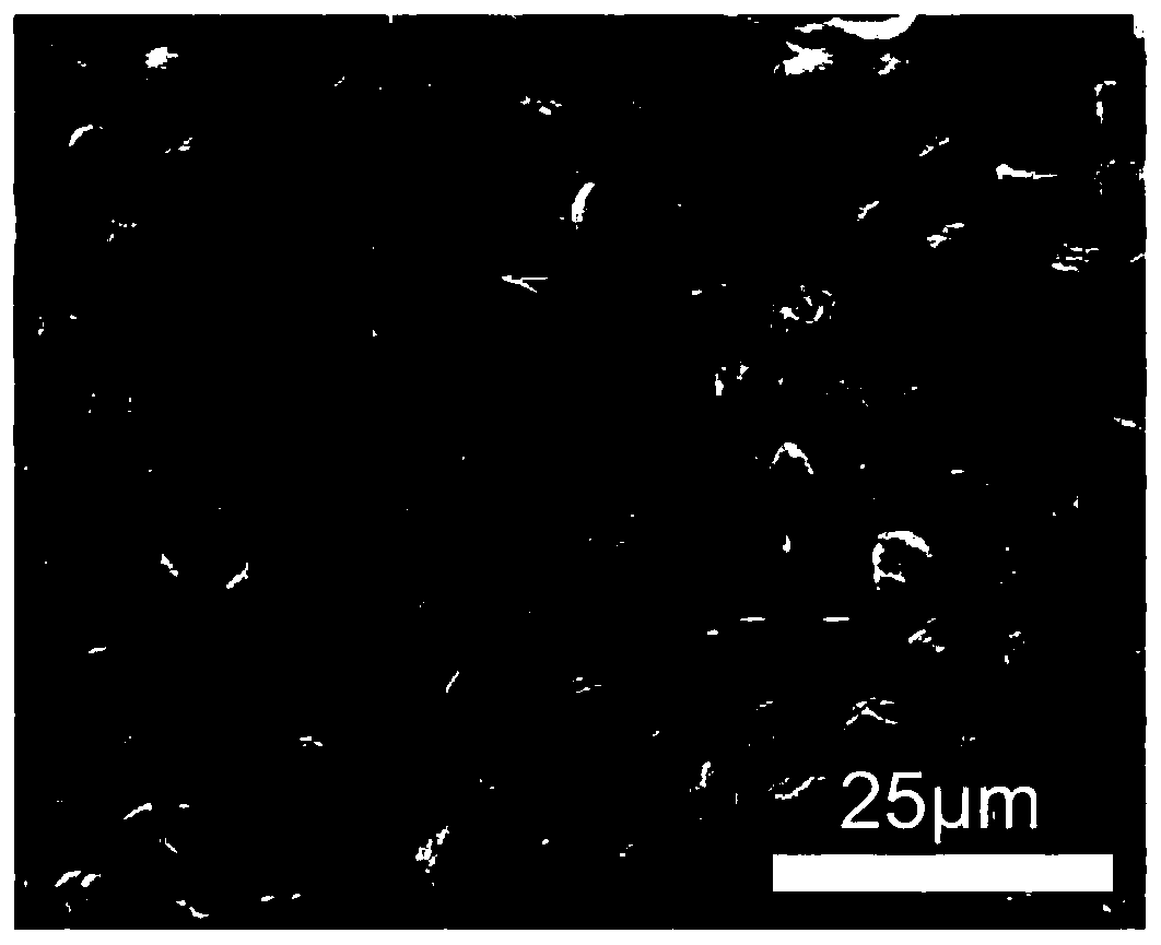 Full-paper base micro-lens array