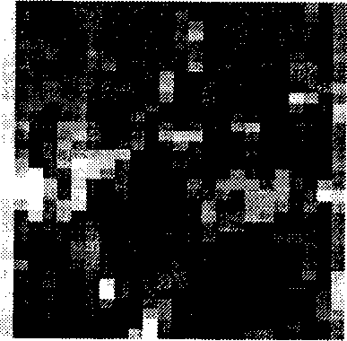 Wavelet-based geometric attack resistant digital watermark method