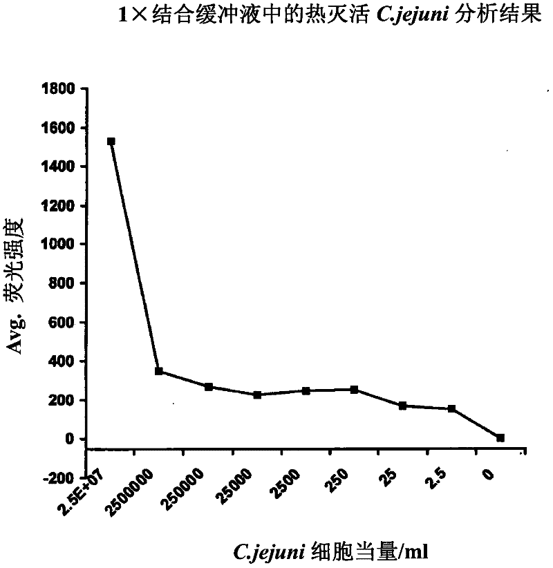 Methods of producing homogeneous plastic-adherent aptamer-magnetic bead-fluorophore and other sandwich assays