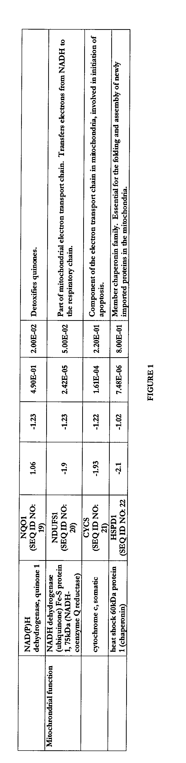 Transcriptional Profiling and Biomarker-Based Methods for Identifying and Evaluating Agents for Antioxidant Efficacy in Cosmetic Skin Care Formulations