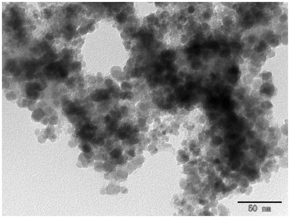 Nucleic acid aptamer-molecular imprinting cooperative recognition magnetic microspheres and its preparation method and application