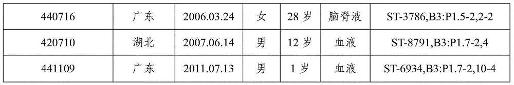 Multivalent group B meningococcal protein vaccine and preparation method thereof