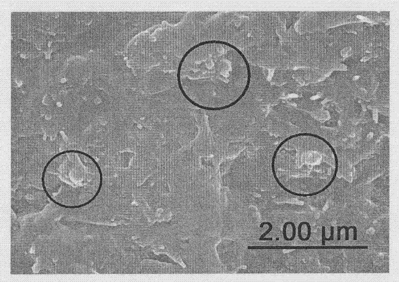 Rubber nano short fiber composite material for automobile tire and preparation method thereof