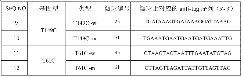 Specific primers and liquid phase chip for polymorphic detection of human hedgehog interacting protein (HHIP) gene