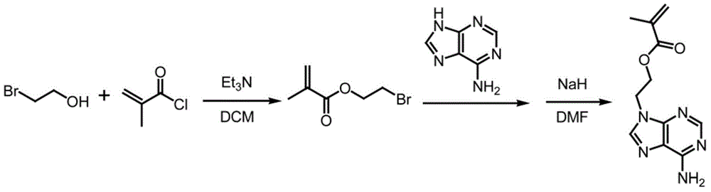 Thermo-sensitive polymer carrier and preparation method and application thereof